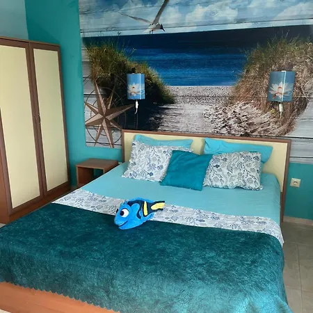 Chalakov 4*