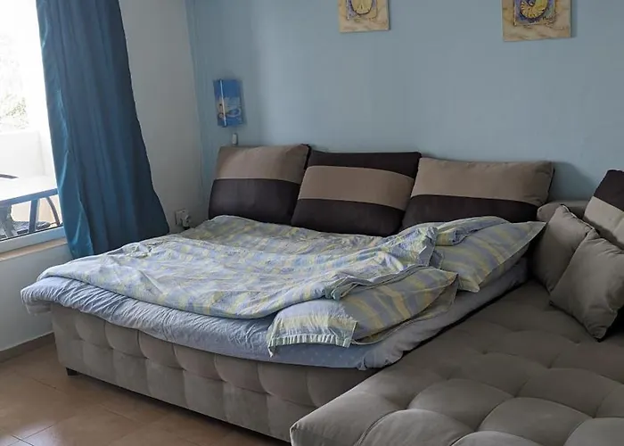 Chalakov Синеморец