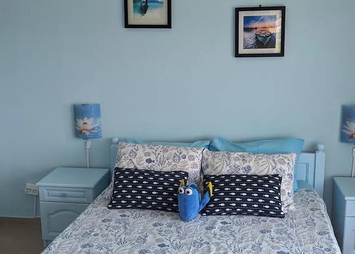 Chalakov Къща за гости Синеморец