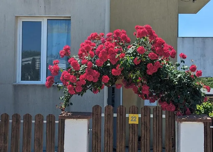 Къща за гости Chalakov 4*